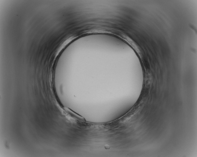 X0000097880909200804041611