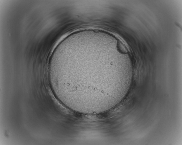 X0000097880911200804041611