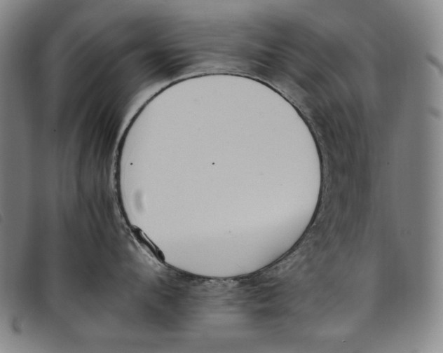 X0000097880912200804041611