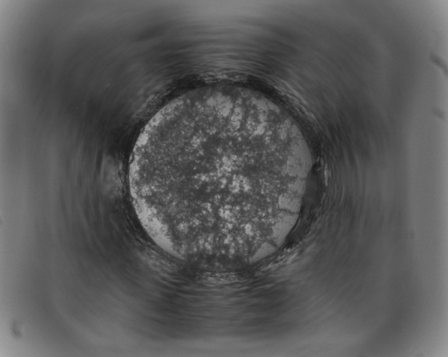 X0000097880915200804041610