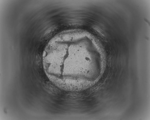 X0000097880917200804041610