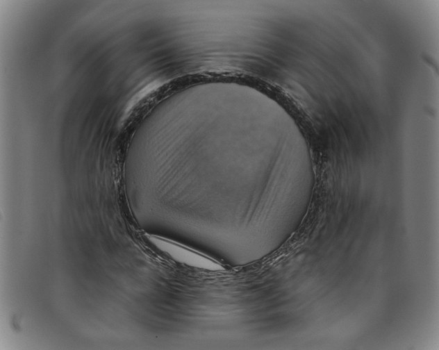 X0000097880920200804041610