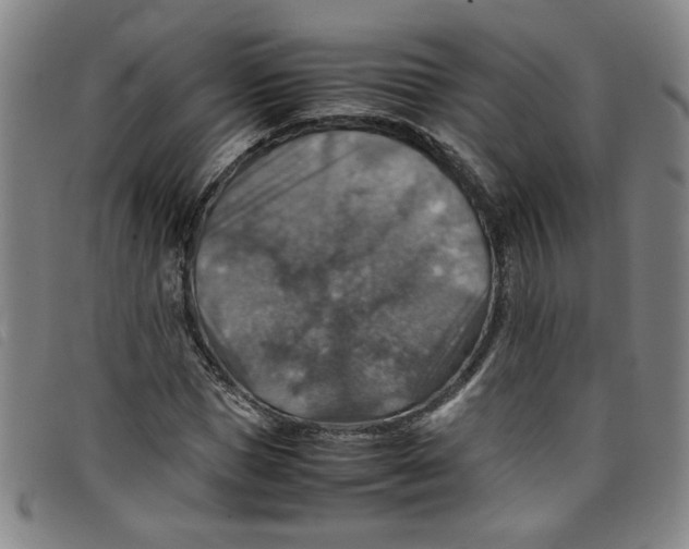 X0000097880921200804041610