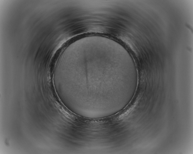 X0000097880923200804041610