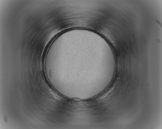 X0000097880924200804041610