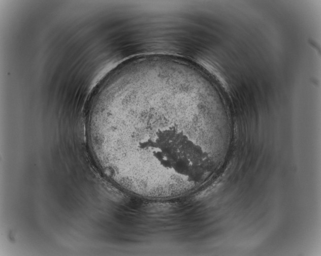 X0000097880925200804041610