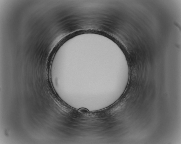 X0000097880927200804041610