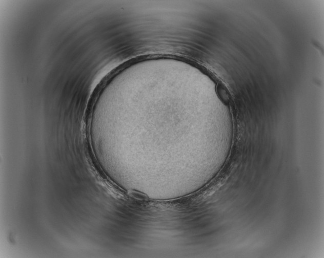 X0000097880928200804041610