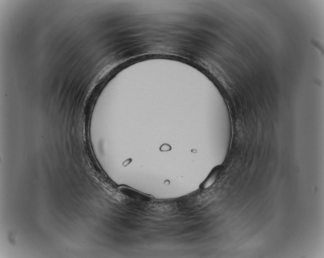 X0000097880931200804041610