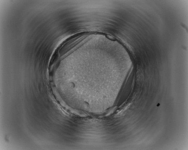 X0000097880932200804041610