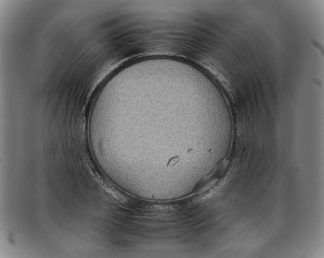 X0000097880933200804041610