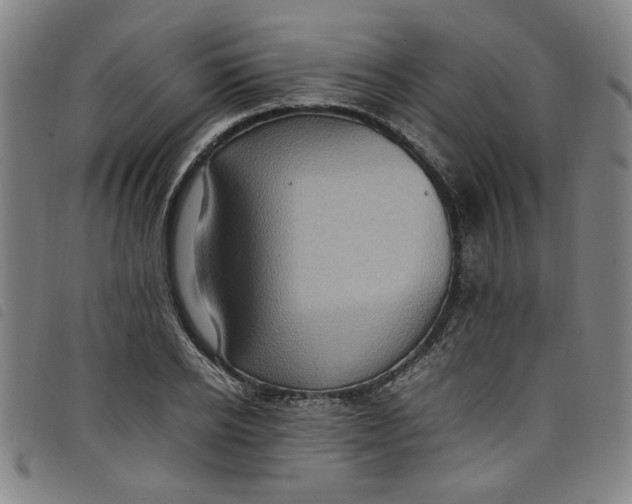 X0000097880934200804041610