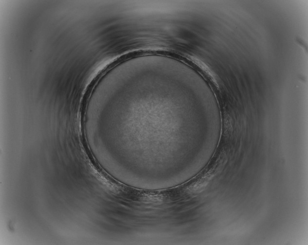 X0000097880935200804041610