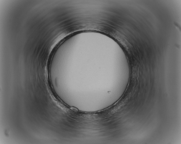 X0000097880936200804041610