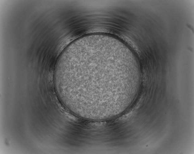 X0000097880937200804041610