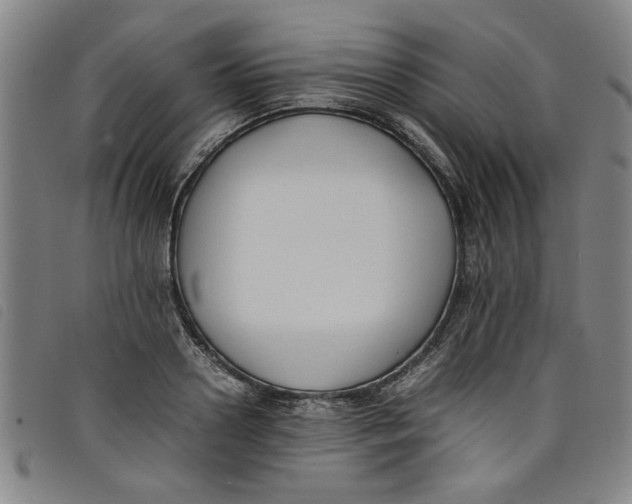 X0000097880938200804041611