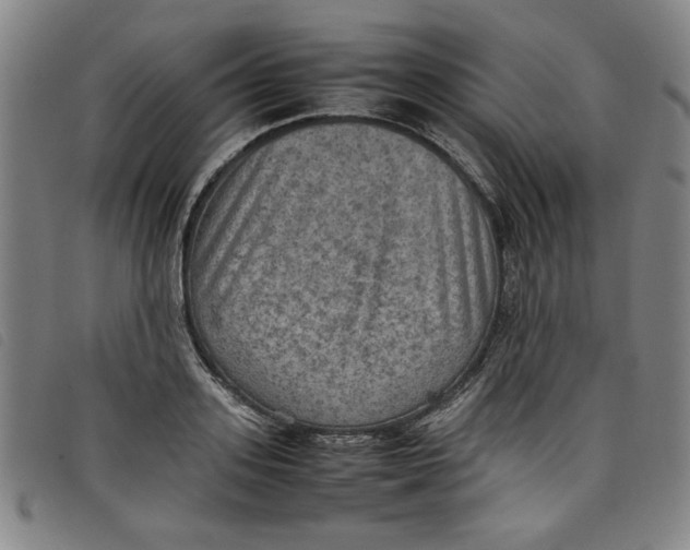 X0000097880939200804041611