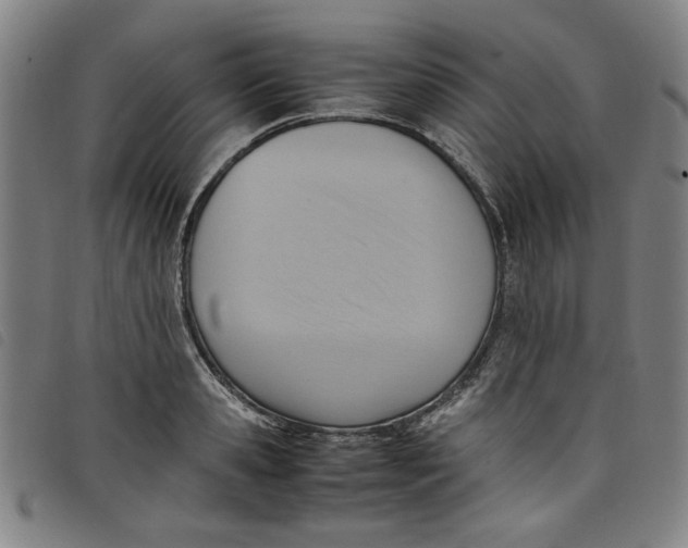 X0000097880941200804041611