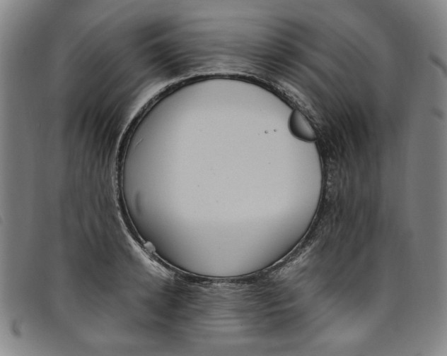 X0000097880942200804041611