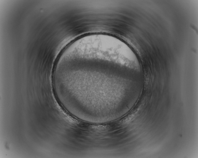 X0000097880943200804041611