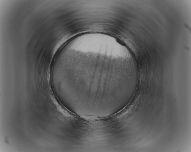 X0000097880944200804041611