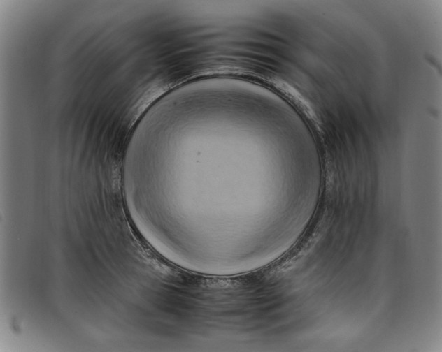 X0000097880945200804041611