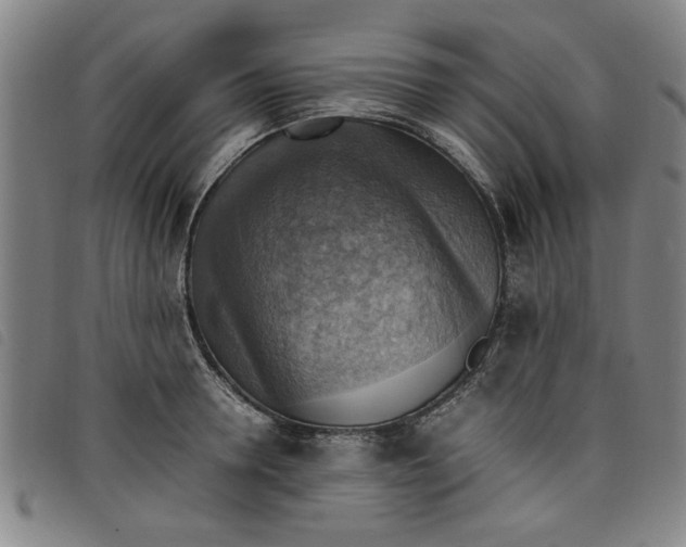 X0000097880946200804041611