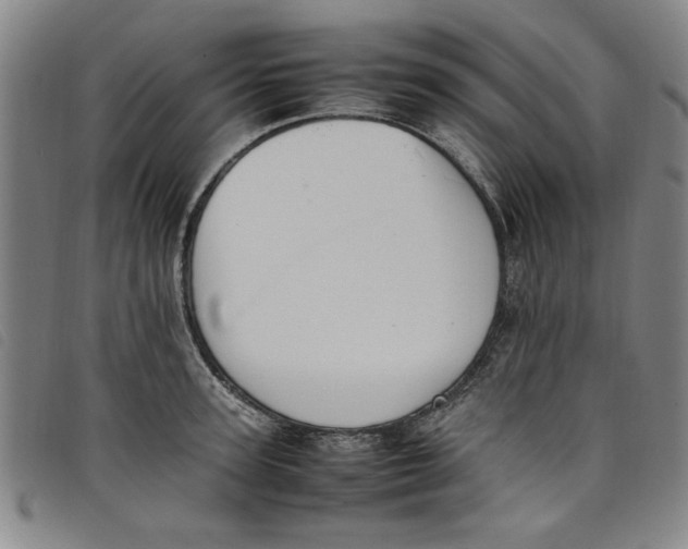 X0000097880947200804041611