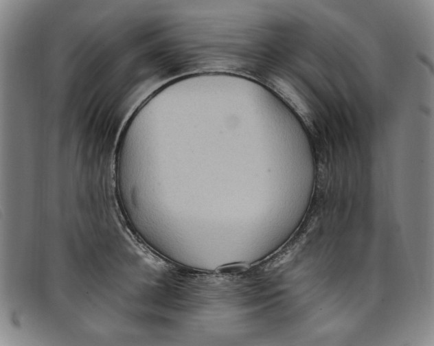 X0000097880948200804041611