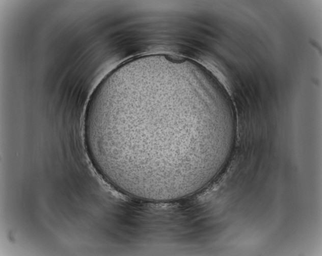 X0000097880949200804041611