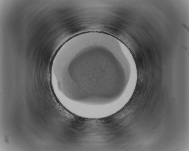 X0000097880950200804041611