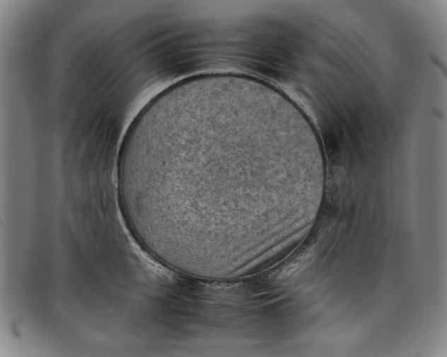 X0000097880951200804041611