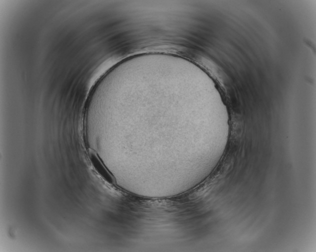 X0000097880952200804041611