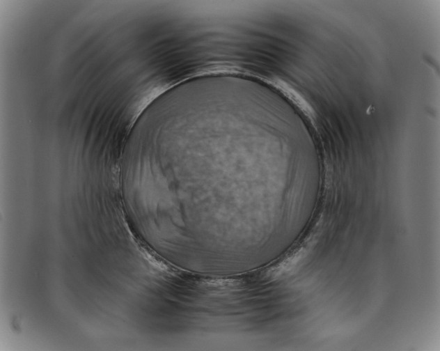 X0000097880953200804041611