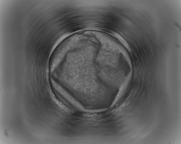 X0000097880955200804041611