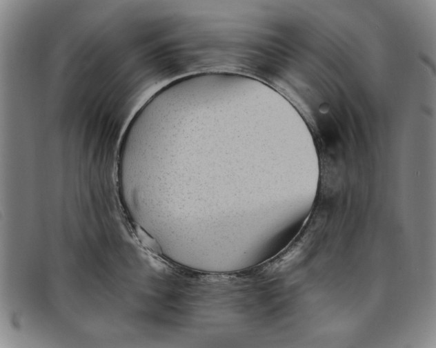 X0000097880956200804041611