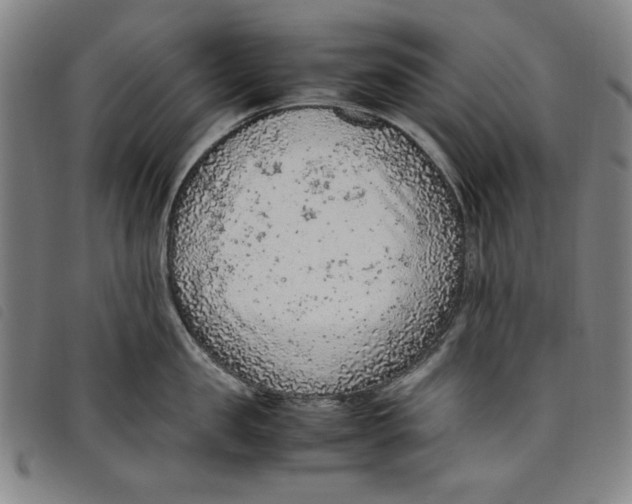 X0000097880957200804041611