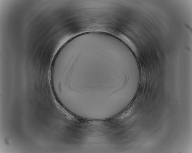 X0000097880958200804041611