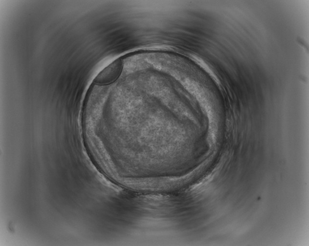 X0000097880959200804041611