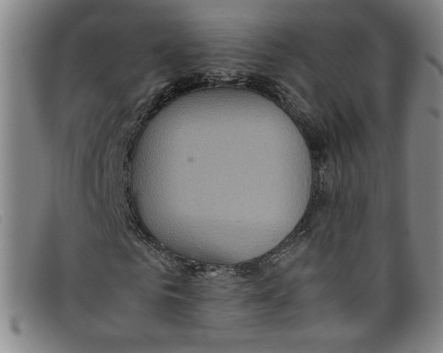 X0000097880961200804041610