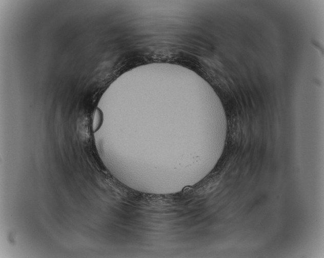 X0000097880962200804041610