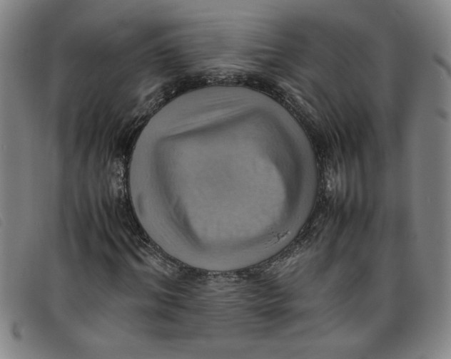 X0000097880964200804041610