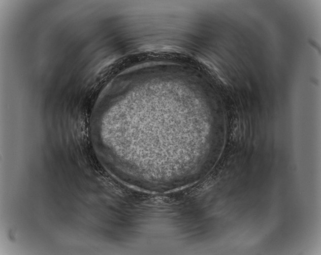 X0000097880966200804041610