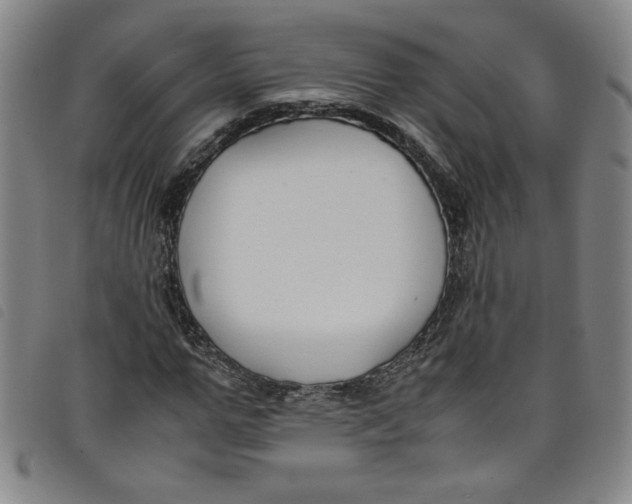 X0000097880967200804041610