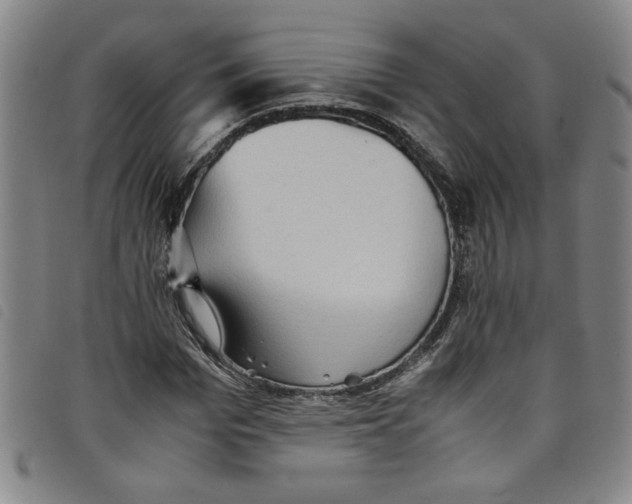 X0000097880969200804041610