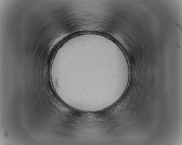 X0000097880971200804041610