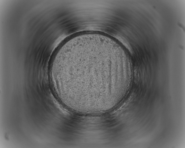 X0000097880972200804041610