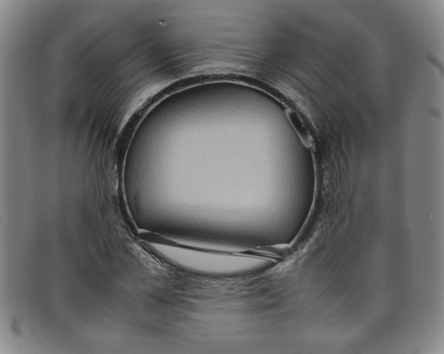 X0000097880973200804041610