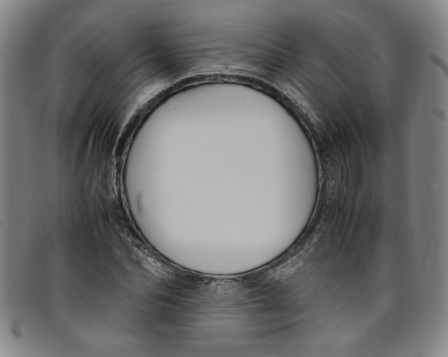 X0000097880974200804041610