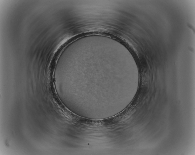 X0000097880975200804041610